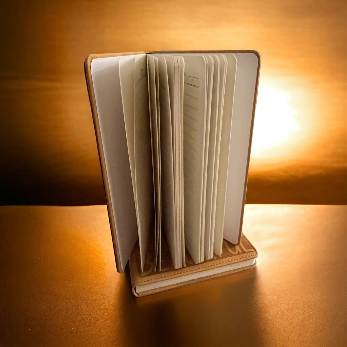 Journal Rare and Beautiful Journal