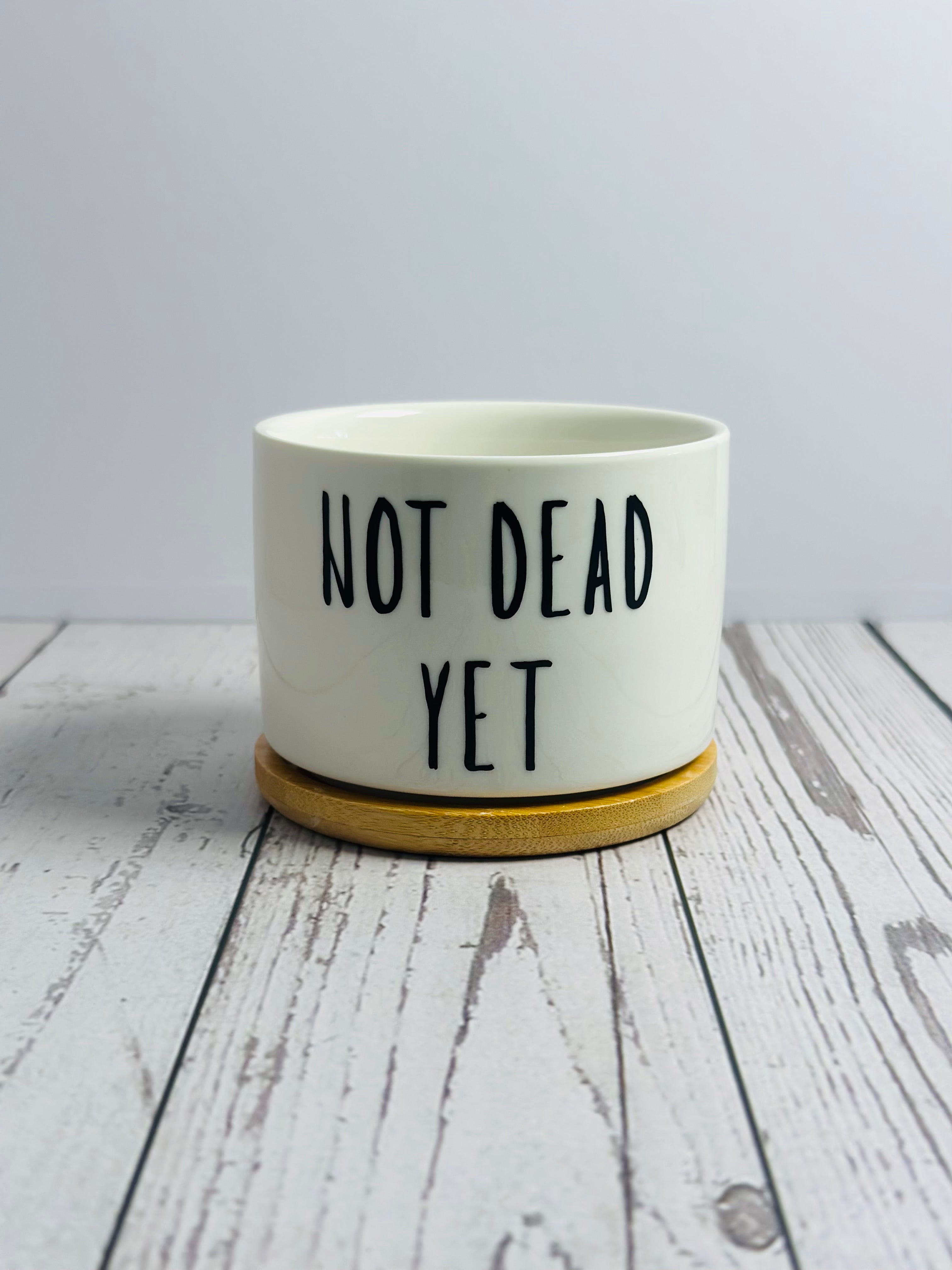 White pot with 'Not Dead Yet' text on a wooden surface