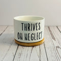 White pot with black text 'THRIVES ON NEGLECT' on a wooden surface