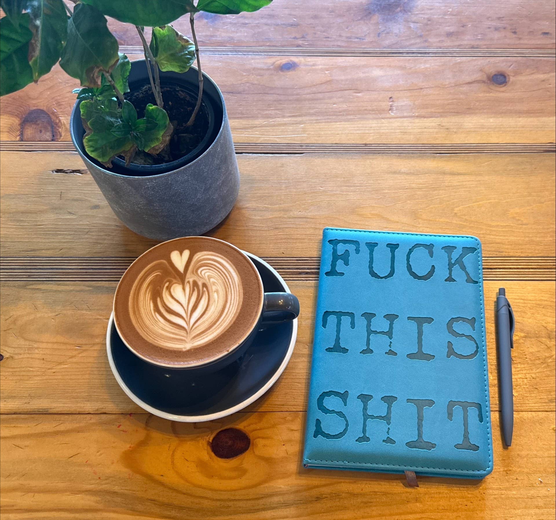 Journal Fuck this Shit Journal