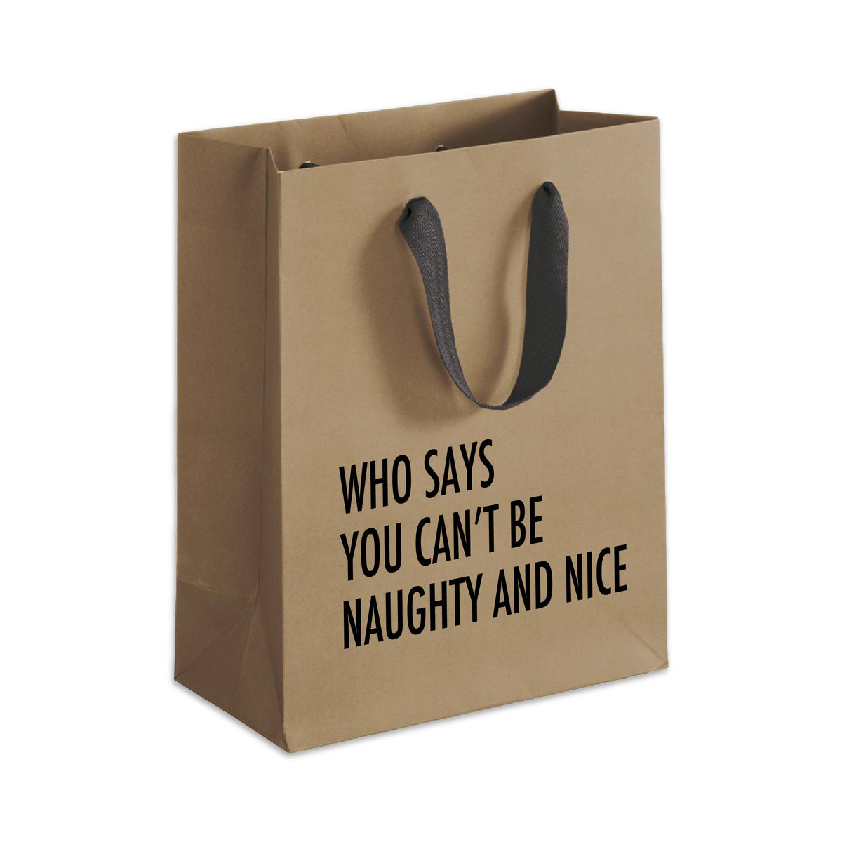 Naughty Nice - Holiday Funny Gift Bag