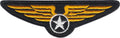 Patch - Wings Crest - Military Air Force Aviation Retro